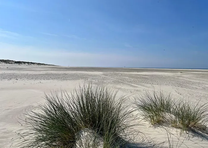 Kaiserhome Ney 3, Moderne Eg-ferienwohnung Mit Xbox, Strandnah Und Zentral Appartement Norderney
